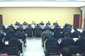 荆州区召开2024年度项目谋划情况汇报会图片
