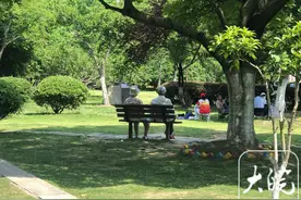 合肥两大型公园“人多椅少” 追踪：新一批休闲座椅已安装图片