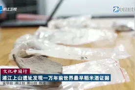 文化中国行｜浦江上山遗址发现一万年前世界最早稻米酒证据图片