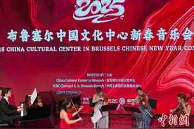 布鲁塞尔中国文化中心举行音乐会庆祝蛇年新春图片