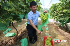 逆境绽放 星城之光② |“爱心超哥”陈超群：以不屈之魂，照亮他人前行之路图片