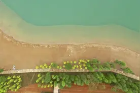 招募令！双龙风景旅游区志愿者等你来报名图片