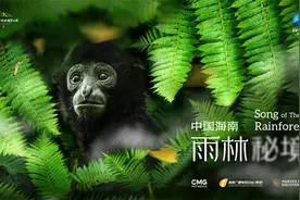 纪录片《中国海南·雨林秘境》：国家公园里的隐秘生活图片