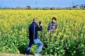 常州溧阳：“赏花经济”提颜值增产值，激发“乡村旅游”新活力图片