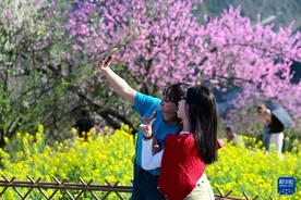 安徽歙县：花满山野春意浓图片
