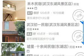 武汉樱园周边民宿迎来预订高峰，负责人：周末很难订到房，热潮持续约两周图片