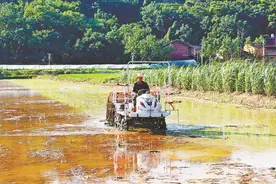 宁德市：推广新农机 山里耕好田图片