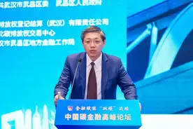 经济学家巴曙松提出：把中国碳市场推向国际，用人民币结算碳交易图片