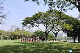 厦门美丽海湾“颜”“质”俱增图片