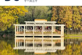 苏炳添将在十五运会后退役｜早安广东图片