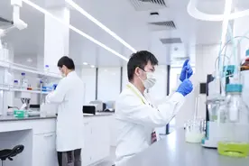来自中草药的美颜碰撞图片