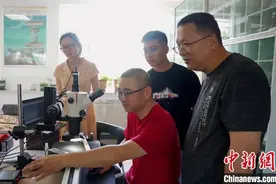 如何成为合格的树木年轮“翻译官”？图片