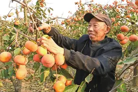在焦作遇见“豫农优品”图片