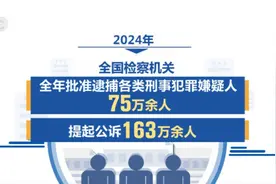 最高检2024年起诉电信网络诈骗犯罪近8万人图片