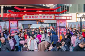 安徽春晚年货市集“乐享阜阳”图片