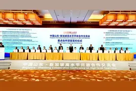 可可资本、齐鲁云商参加新加坡山东周活动 助推鲁新双向互动图片
