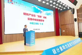 2024中国钢铁工业节能环保大会在福建南平召开图片