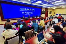 国家林草局：2024年全国林草产业总产值10.17万亿图片
