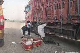 运蜂车出故障 蜜蜂集体“出逃” 看新疆交警如何顶“蜂”救援图片