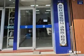 过年了想带宠物回家，它们可以上飞机吗？需要办理什么？图片