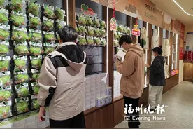 三坊七巷爱心树化身文创“摇钱树” 春节“摇”来百万元图片