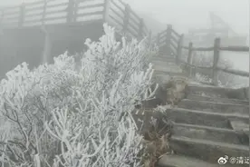 广东飘起2024年第一场雪！降温仍在持续，请注意防寒保暖图片