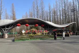 大年初二，东平国家森林公园游人如织图片