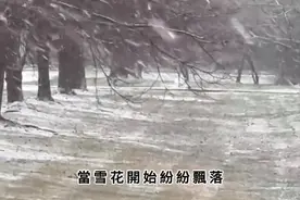 台湾知名作家琼瑶家中轻生，终年86岁，遗书全文公布图片