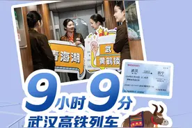 今日好稿丨9小时9分！武汉高铁首次驶上青藏高原图片