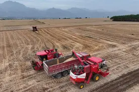 中国饭碗里装了更多中国粮 2024年我国粮食产量首次突破1.4万亿斤图片