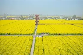岳阳春夏秋冬怎么玩？快收下这份宝藏打卡攻略图片