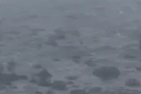 重庆下雪啦！图片