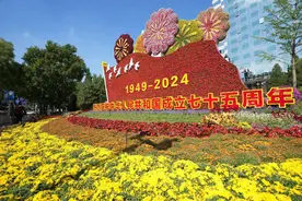 假期旅游如何避坑？打假博主建议谨防低价团、私人经营旅游项目图片