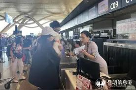 云南首只宠物旅客“毛孩子”与主人同舱飞深圳图片