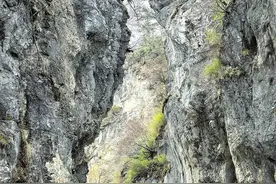 陇南：5A级景区官鹅沟 山水为笔做足旅游文章图片