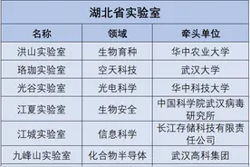 大刚观两会 | 国家实验室，有哪些“武汉预备队”？图片