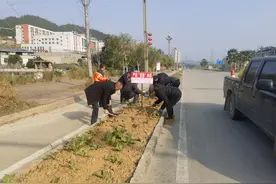 岑巩县住建局：重拳整治“毁绿种菜” 呼吁居民爱绿护绿图片