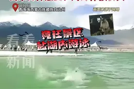 景区回应男子在盐湖游泳：不允许！对身体损伤大图片