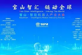 上海机器人产业园迎来“主场作战”图片
