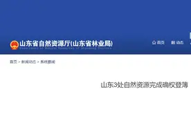 山东又有3处自然资源完成确权登簿！涉及荣成、平邑和莱州图片