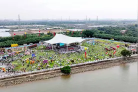 中山：花木产业欣欣向荣，美丽经济催生动能图片