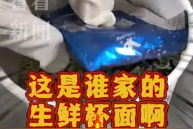 海关查获4盒“生鲜泡面” 内藏489只活体黄粉虫图片