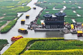 镜观中国·新华社国内新闻照片一周精选丨春和景明 花繁人醉图片