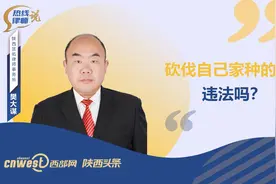热线律师说丨砍伐自己家种的树，违法吗？图片