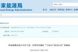 国家能源局启动“千家万户沐光行动”图片