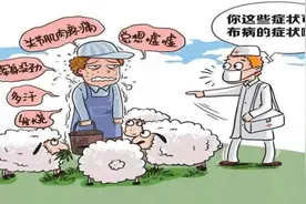 夏季常见传染病防控知识科普（二）自然疫源性疾病图片