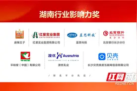 坚守品质与健康 麻辣王子获评“湖南行业影响力奖”图片