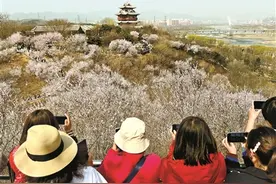 打卡桃花谷 趣游园博园图片