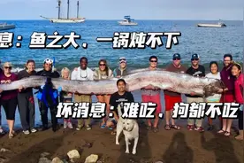 长相恐怖的“末日鱼”接连上岸，大灾难要来了吗？图片