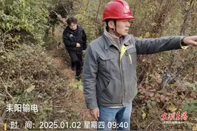 政企合力防山火！耒阳市：在山火高发区域的线路通道开辟防火隔离带图片
